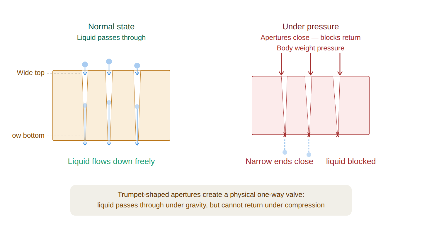 Apertured film ADL mechanism: normal state with open trumpet apertures versus compressed state with closed apertures blocking liquid return