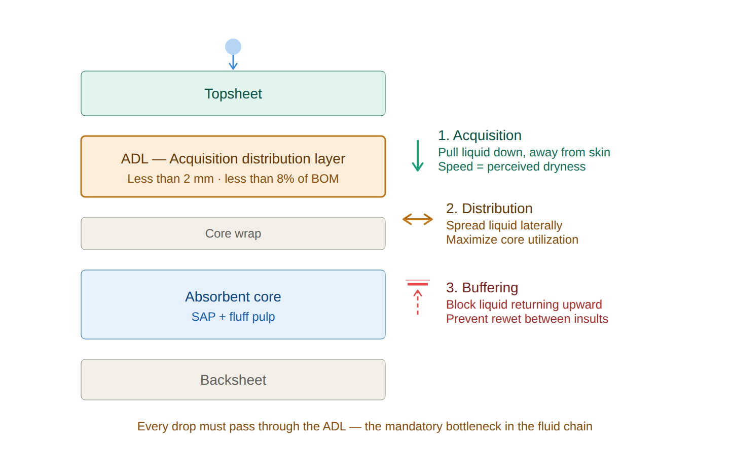 Diaper cross-section showing ADL position between topsheet and core, with three functions: acquisition, distribution, and buffering